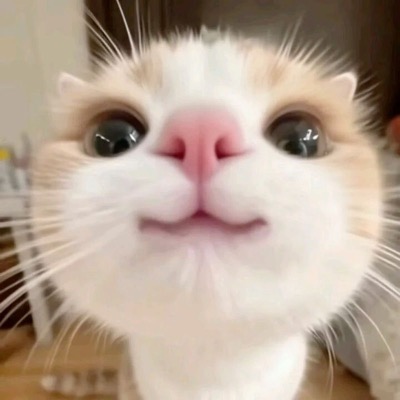 chloeee_173