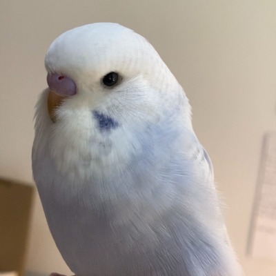 val_