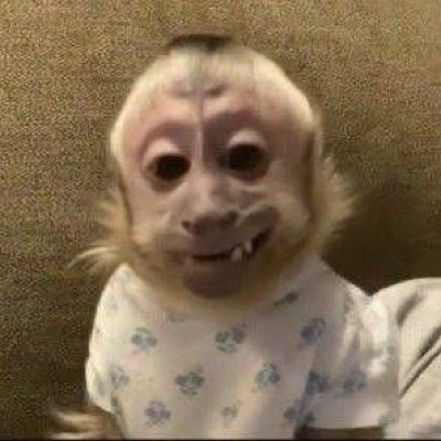 lilyy333