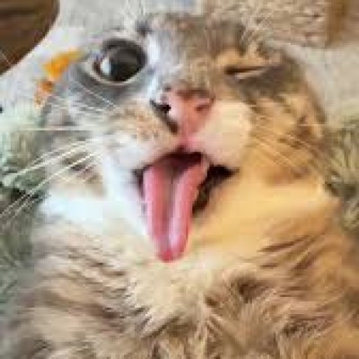 Dr_GiggleTouch_the_67st