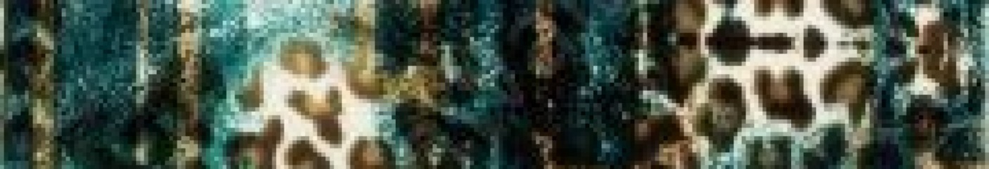 Plumb_Anew cover