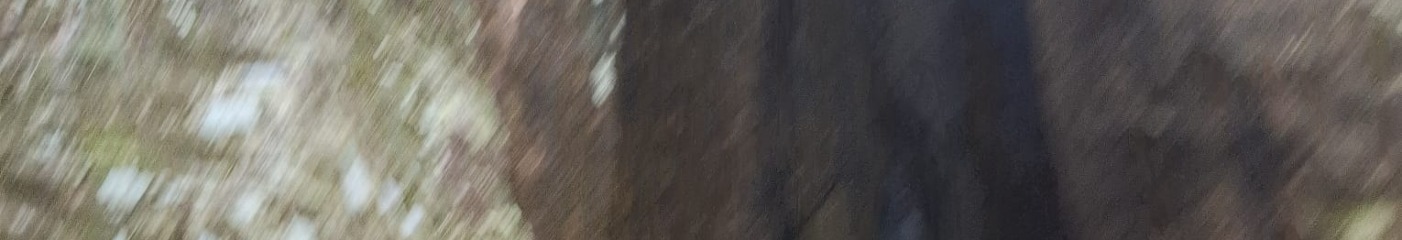 I678926281910173638e949484jfkdkd cover