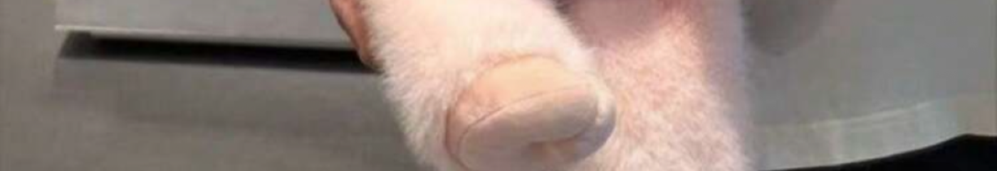 Ngocnguyen123_ cover