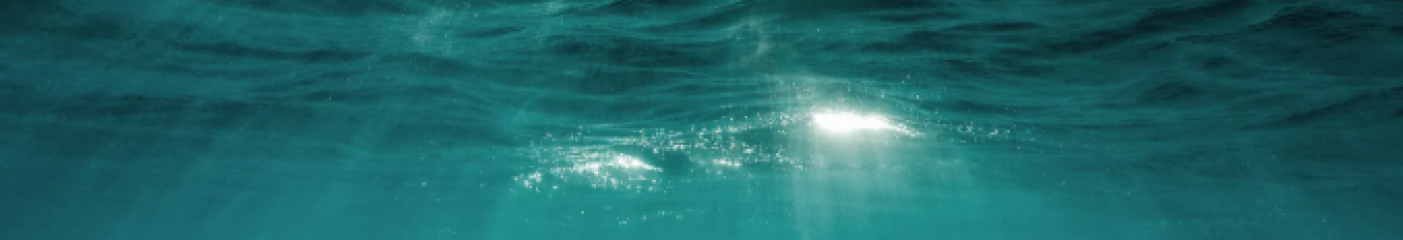 cordelia_valjean cover